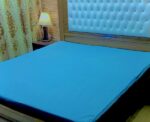 king-size-double-bed-water-proof-matress-safegaurd-cotton-jersy5